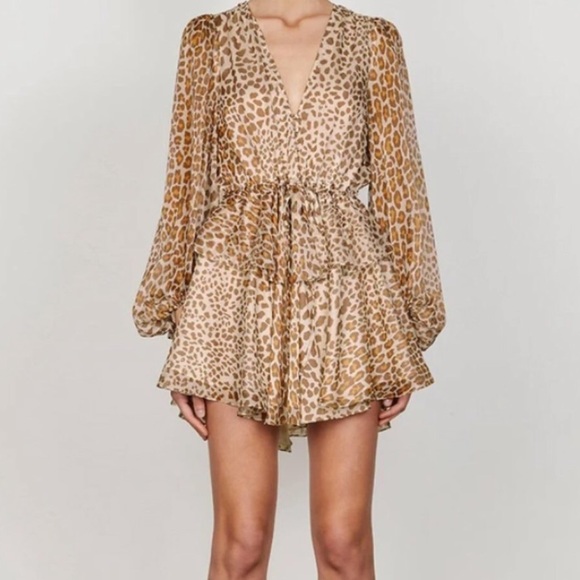 Shona Joy Ghetty Balloon Sleeve Mini Dress - Picture 3 of 8